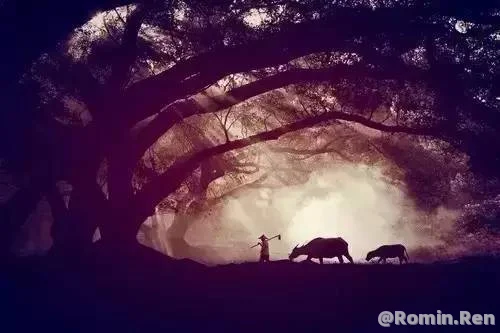 牛是怎么死的？（至少30岁的人才能读懂）